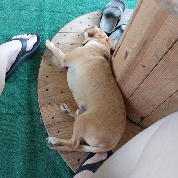 Meet your Posher, Cameron - Picture 8 of 9